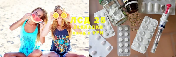ПСИЛОЦИБИНОВЫЕ ГРИБЫ Алзамай