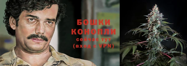 индика Нефтегорск