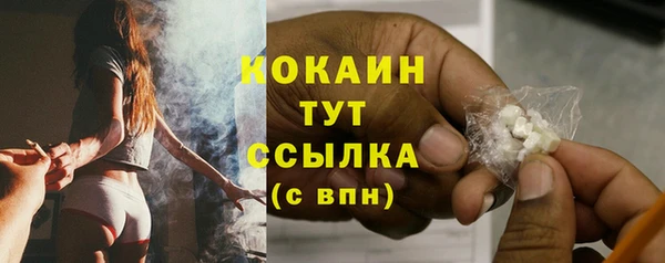 альфа пвп Новодвинск