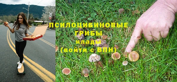 мяу мяу мука Алексин