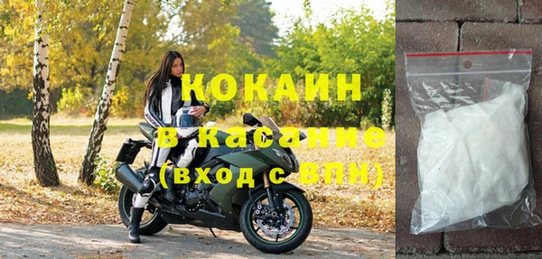 индика Нефтегорск