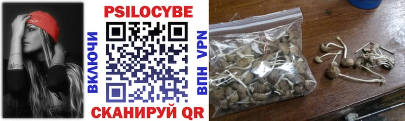 KRAKEN ссылка  Шадринск  Псилоцибиновые грибы Magic Shrooms 