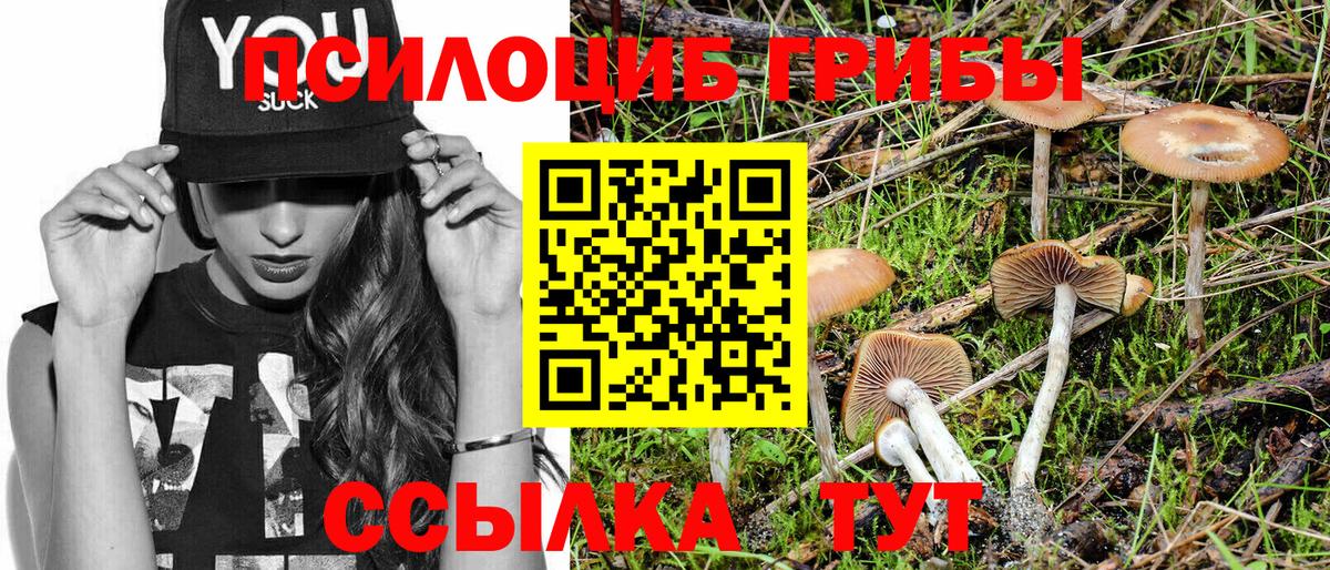 Галлюциногенные грибы мицелий Шадринск