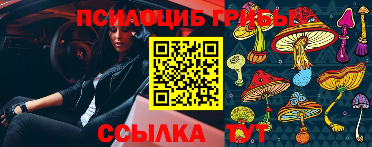 Псилоцибиновые грибы мухоморы  Вход с VPN  Шадринск 