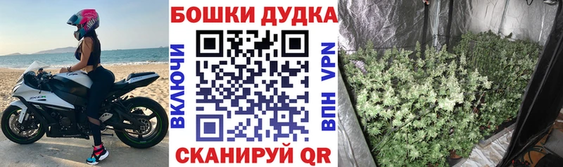 где продают наркотики  Шадринск  Шишки марихуана AK-47 