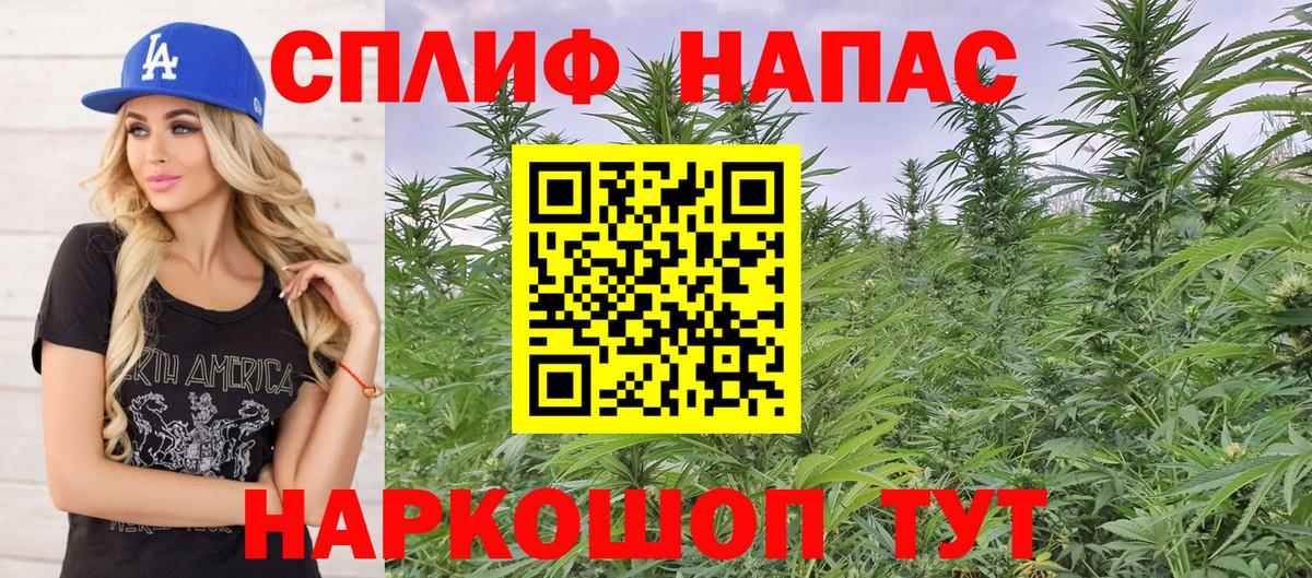 Конопля марихуана Шадринск